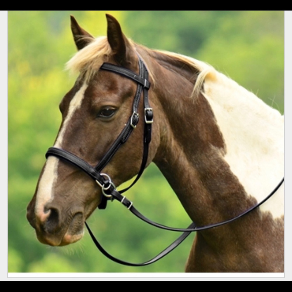 New!   Black leather bitless bridle quick Reins